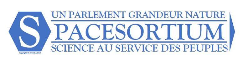 logo gisnt